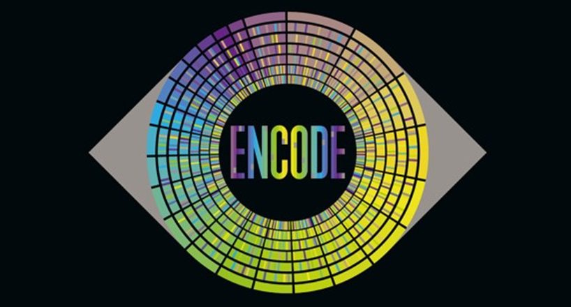 برنامه Encode