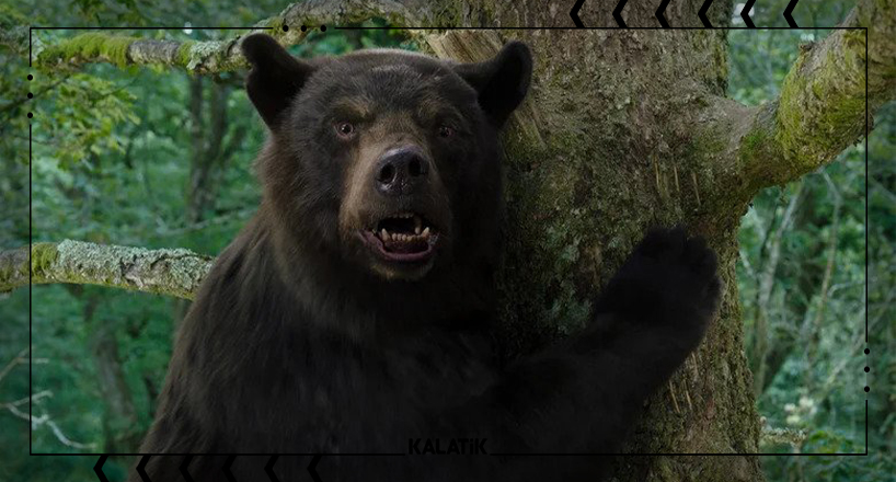 فیلم خرس کوکائینی