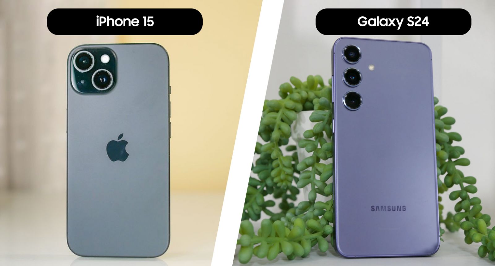 iphone15 vs galaxy s24